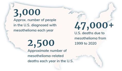 Mesothelioma Statistics Learn More About Facts Incidences