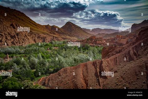 desert oasis city  tinghir morocco africa stock photo alamy