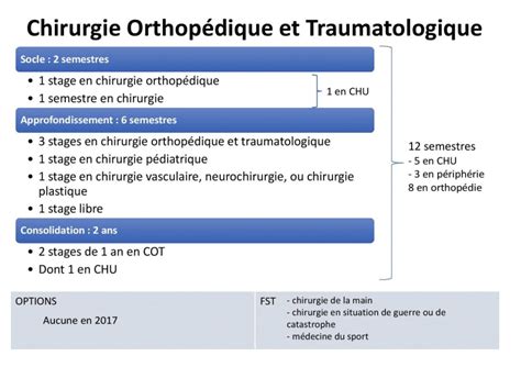 Maquette Coll Ge Des Jeunes Orthop Distes