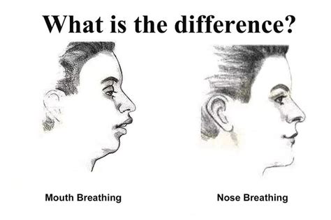 MOUTH BREATHING VS NOSE BREATHING | The Renegade Esthetician | Mouth breather, How to stop ...