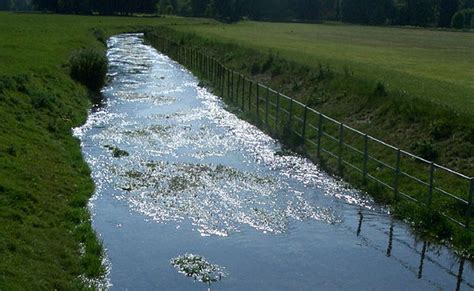 River Lavant | Britains Rivers