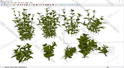 植物花草 模型su模型下载 Id107566955 建e网su模型