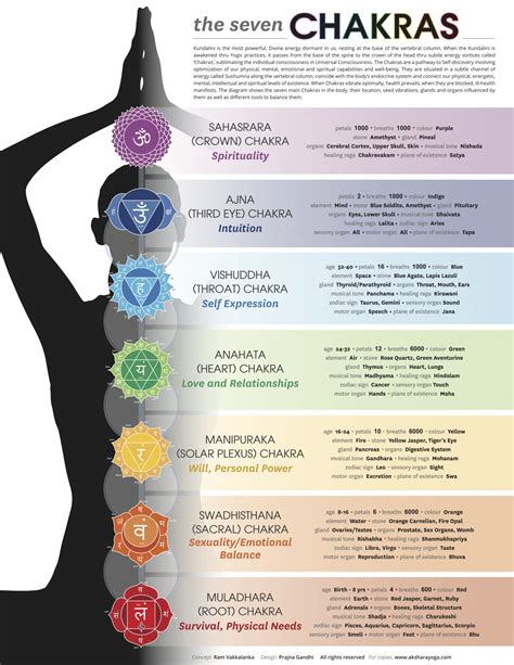 Chakras Or Energy Centres