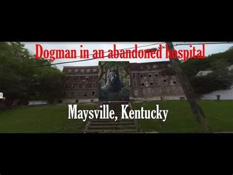 Has anyone ever heard an update from this dogman encounter? : r/dogman