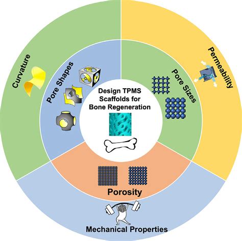 Different Characteristics And Properties Of Tpms Scaffolds That Can