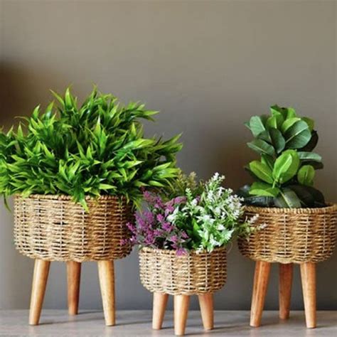 Bamboo Jute Planter At Best Price In Panchkula Haryana Yedhant