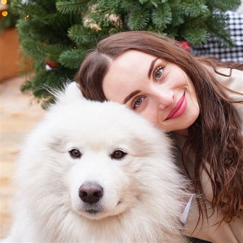 Samoyed vs Husky: Understanding the Differences Between These Two ...