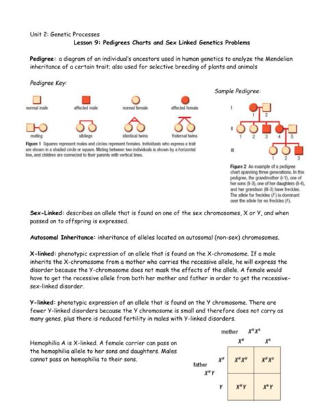 Lesson 9 Pedigrees Charts And Sex Linked Genetics