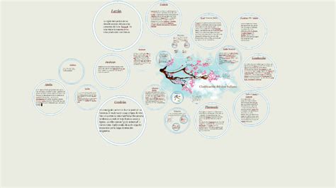 Clasificación del vino Italiano by Monse Ayala