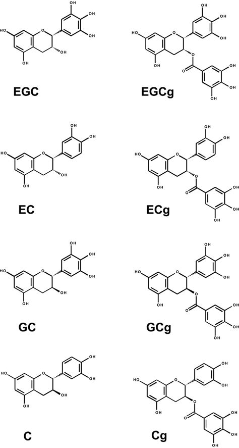 Chemical Structures Of Major Green Tea Catechins And Their Galloyl