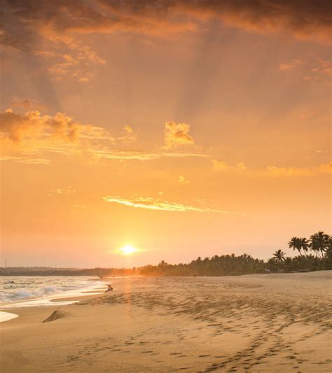 Tourist Attractions, Events,Things to do in Tangalle, Sri Lanka | Love ...