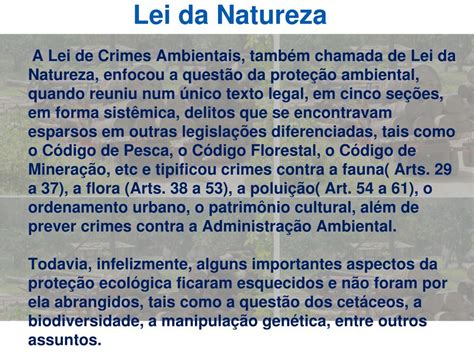 Ppt Crimes Ambientais Powerpoint Presentation Free Download Id 3760823