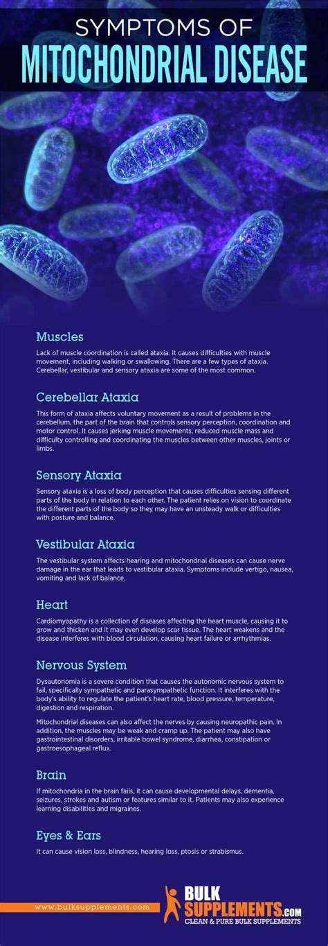Mitochondrial Diseases: Symptoms, Causes & Treatment