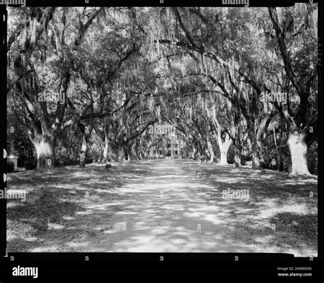 Rosedown Plantation, St. Francisville, W. Feliciana Parish, Louisiana ...