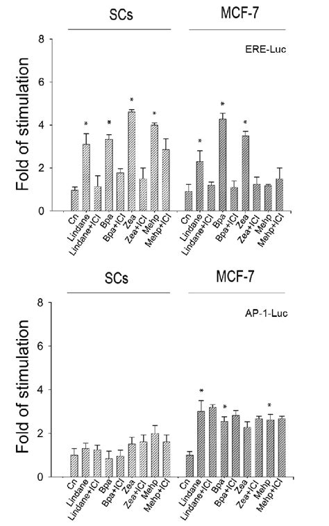 Ere Luc And Ap 1 Luc Activity In Testis Somatic Cells Scs Fraction