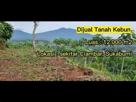 Tanah Kebun Dijual Luas M Ciambar Sukabumi Youtube