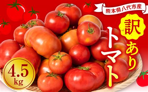 【先行予約】 【訳あり】 八代市産 規格外トマト 45kg 熊本県 トマト 野菜【2024年11月下旬より順次発送】｜ふるラボ