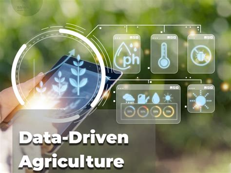 Practical Application & Future of AI in Agriculture