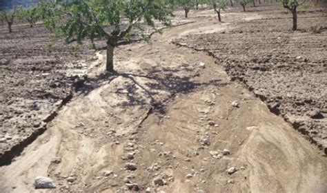 La Mitad Del Valle Chancay Lambayeque Est Salinizado