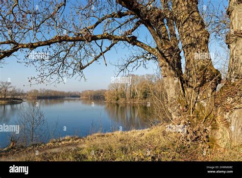 Grand Parc De Miribel Jonage An Urban Park Of Hectares On The