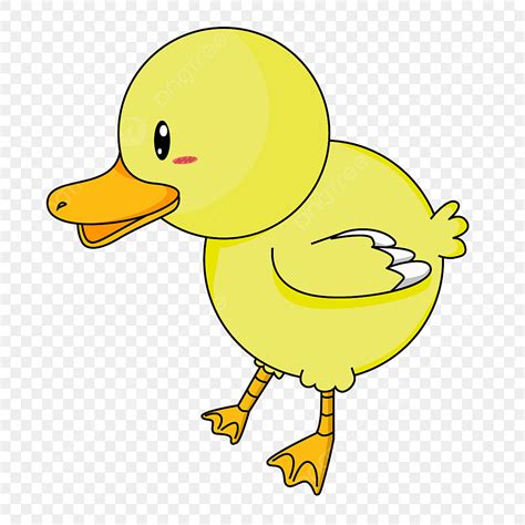 baby ducks vector png images baby duck duck bebek anak bebek png