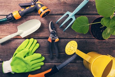 Beginner Gardener? 10 Gardening Tools Set You Up for Success – Sow
