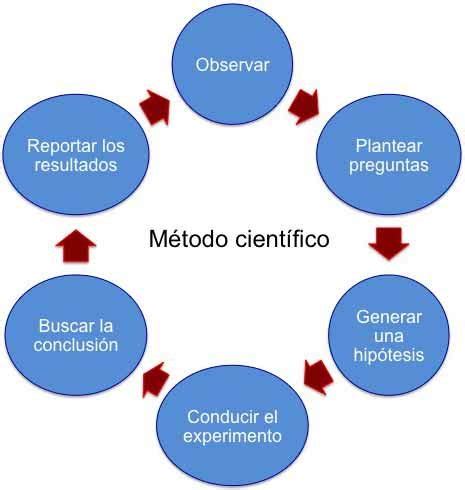 Descripción resumida del método científico Download Scientific Diagram