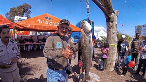 Baja Fishing Report Photo Discover Baja Travel Club