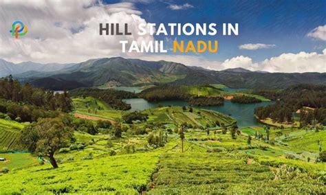 explore  mesmerizing hill stations  tamil nadu  people places
