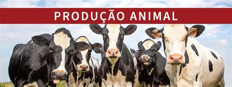 Pecuária leiteira cenário atual ESALQ Jr Consultoria Agronômica