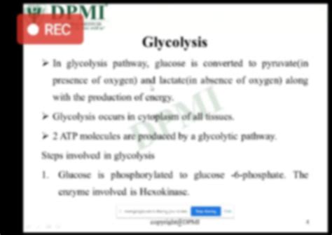 Solution Metabolism Of Carbohydrates Studypool