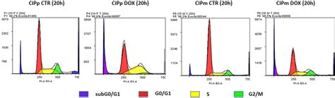 Dean Jett Fox Univariate Cell Cycle Analysis By Flow Cytometry