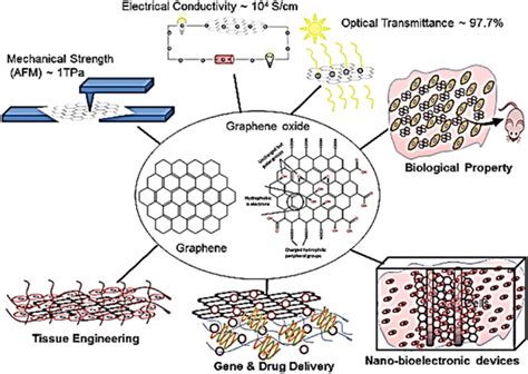 Graphene Based Nanomaterials And Its Derivatives For Various Biomedical Download Scientific