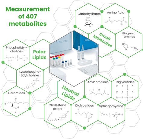 Lipidomics-Metabolomics Services | Firalis Molecular Precision