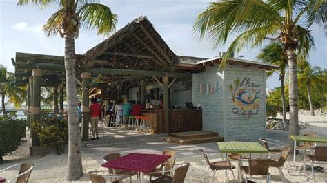 Beached Whale Bar And Grill Grand Turk Restaurant Reviews Phone Number And Photos Tripadvisor