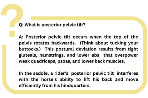 Upper Crossed Syndrome In Equestrian Endurance Riders