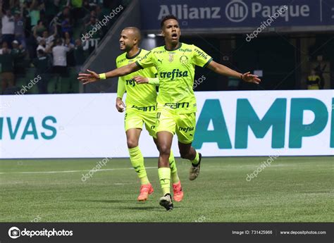 Sao Paulo Brazil Match Brasileiro Palmeiras Allianz Parque