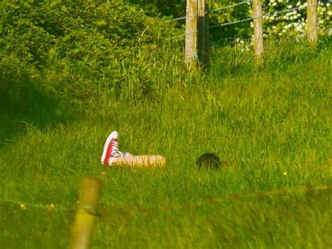 Girl Naked In Field Covertsnapper1 Flickr