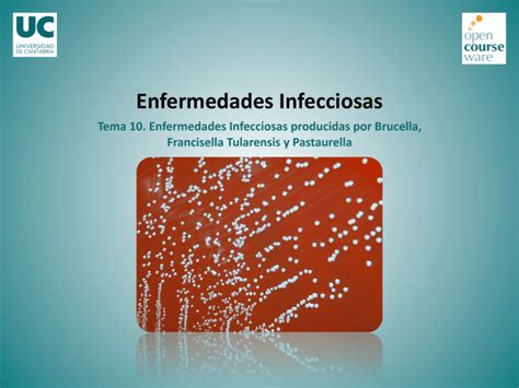 Enfermedades Infecciosas Tema 10 Enfermedades Infecciosas