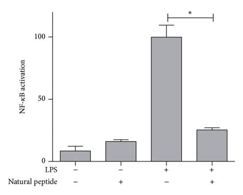 Natural Cyclic Peptide Effect On Nf κb Activation Induced By Tnf α And