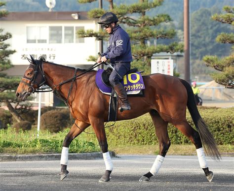 【皐月賞】朝日杯fs2着以来のダノンタッチダウン 安田隆師「順調にきています」 3歳馬特集 競馬写真ニュース 日刊スポーツ