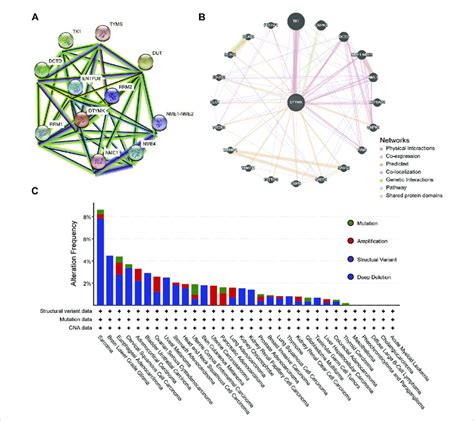 Ppi Network And Genetic Alteration Characteristics A A Network Of