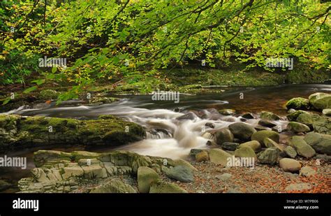 River Shimna Hi Res Stock Photography And Images Alamy