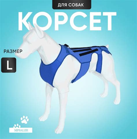 Бандаж ортопедический для животных купить на OZON по низкой цене ...