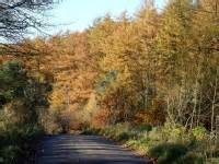 Macclesfield Forest, Cheshire. Walks, Photography Galley and Tourist Information.