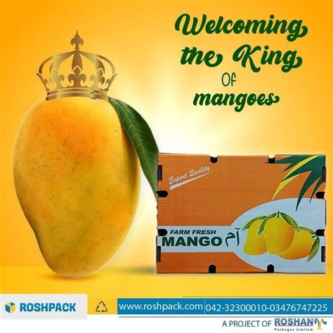 Mango Packaging Boxes | RoshPack | Mango, Mangoes, Vegetable packaging