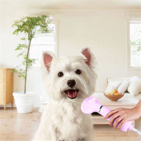 9 Incredible Dog Grooming Dryer For 2024 | Storables