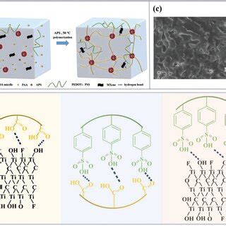 A Schematic Diagram Of Ppm Hydrogel Network Structure B Illustration