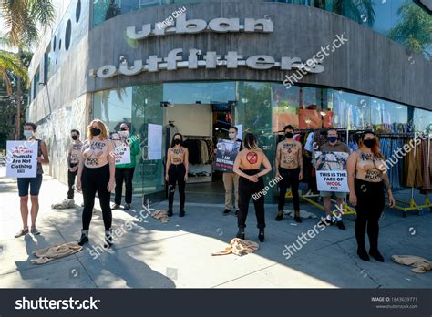Peta Activists Revealing Naked Truth Wool Stock Photo Shutterstock