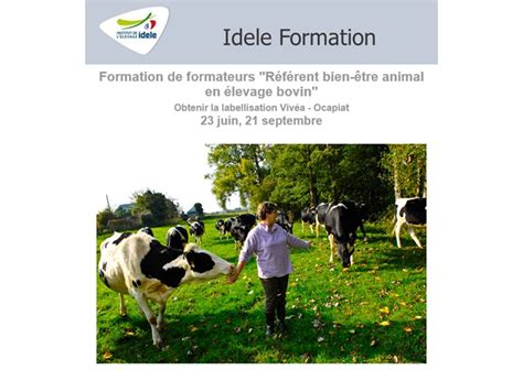 Formation de formateurs Référent bien être animal en élevage bovin